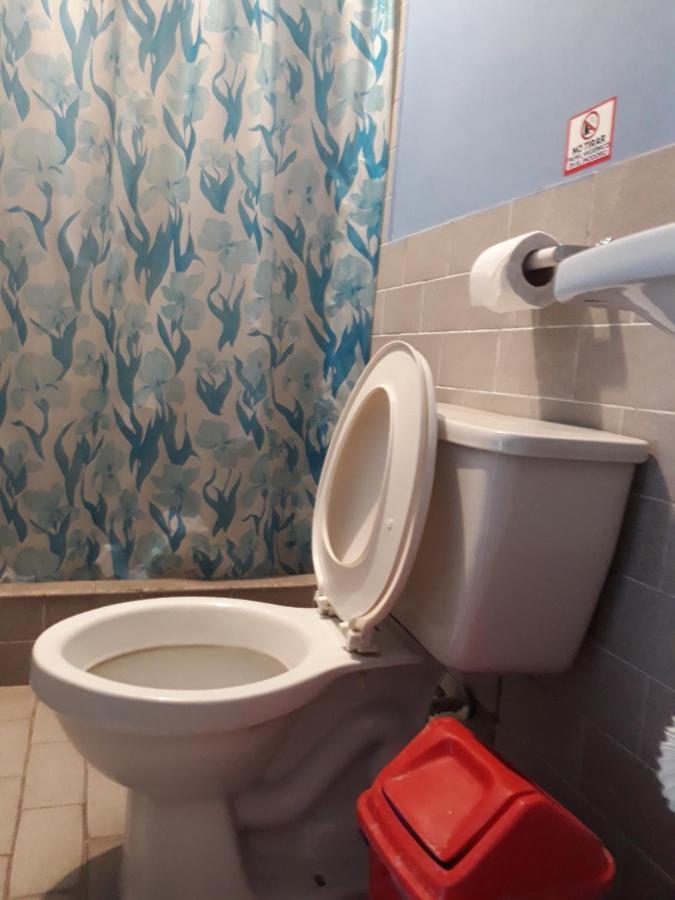 באניוס Transilvania מראה חיצוני תמונה